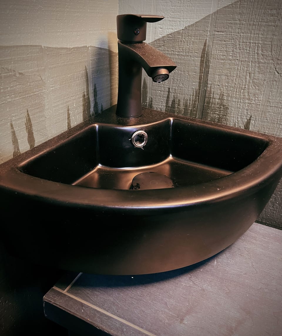 Newly installed corner sink in the master - the bathroom has shower and toilet