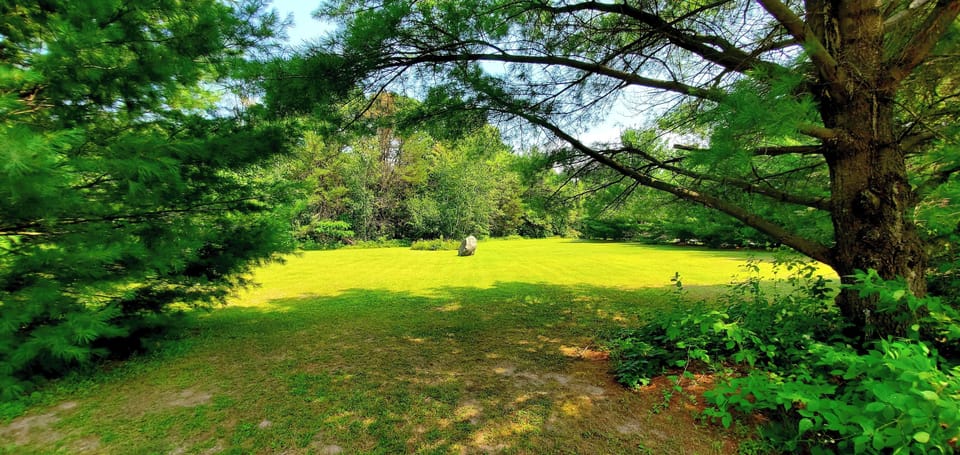Large Front yard (left)