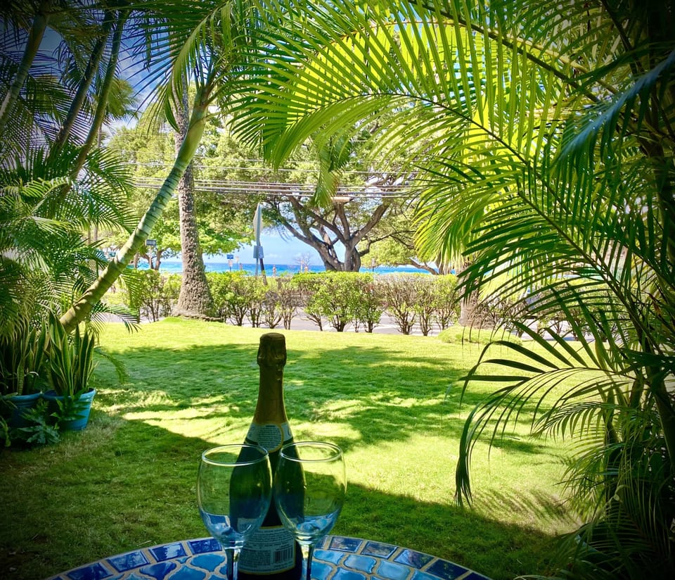 View from the Lanai