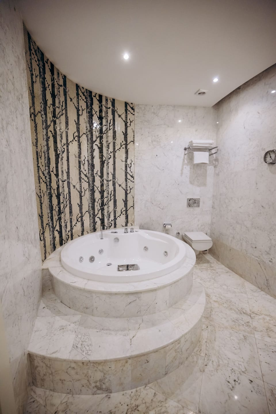Executive Suite | Bathroom | Free toiletries, hair dryer, bathrobes, slippers