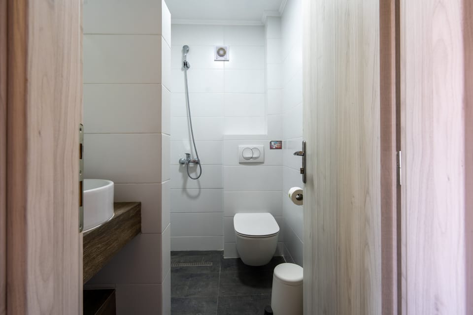 Economy Room | Bathroom | Free toiletries, hair dryer