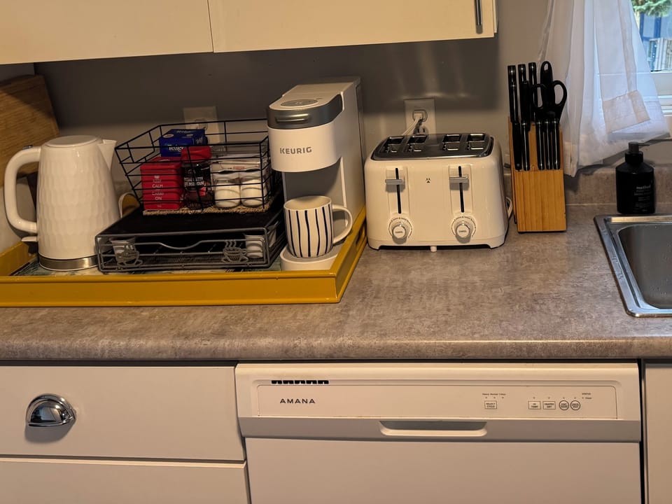 Dishwasher and everything else