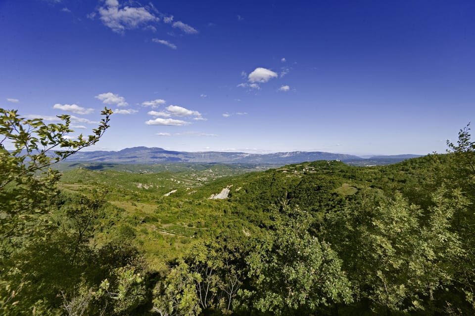Green Istria