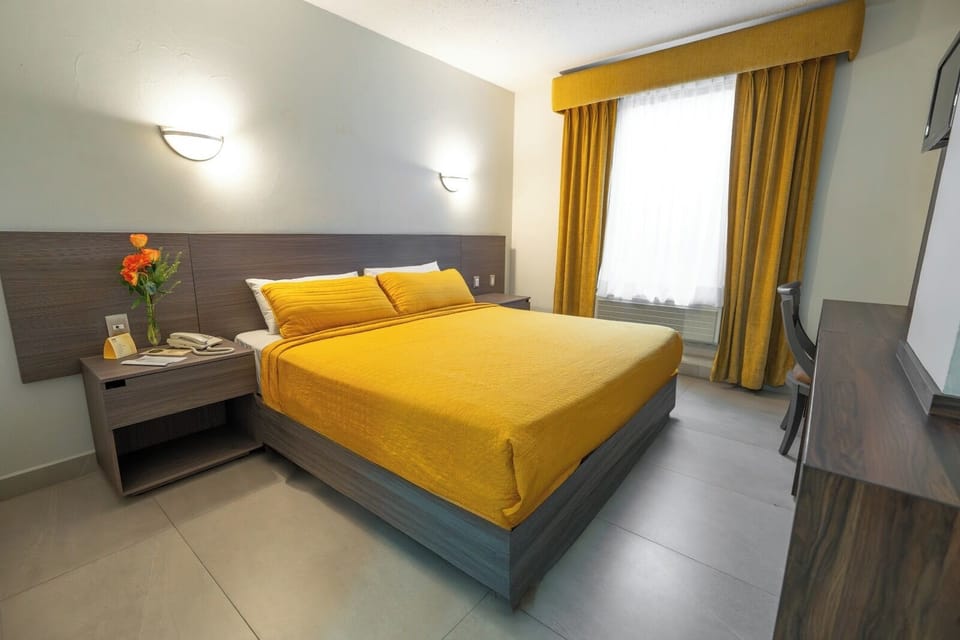 Standard Single Room, 1 King Bed | In-room safe, blackout drapes, WiFi (free), bed sheets