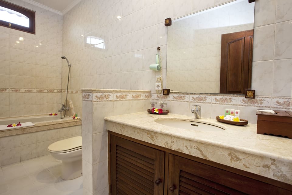 Suite Room | Bathroom | Combined shower/tub, spring water tub, free toiletries, hair dryer