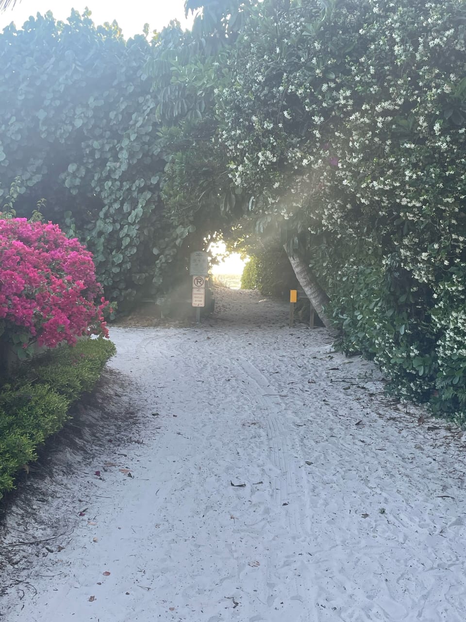 The sandy road to park and walk to Boca Grande beach