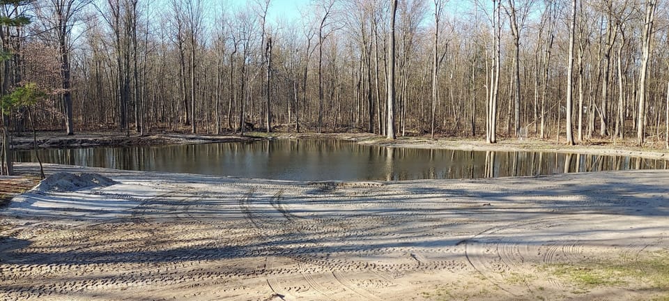 Pond by cabin