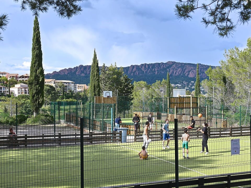 Tree, Tennis Court, Recreation, Sports, Leisure, Racquet Sport, Fence