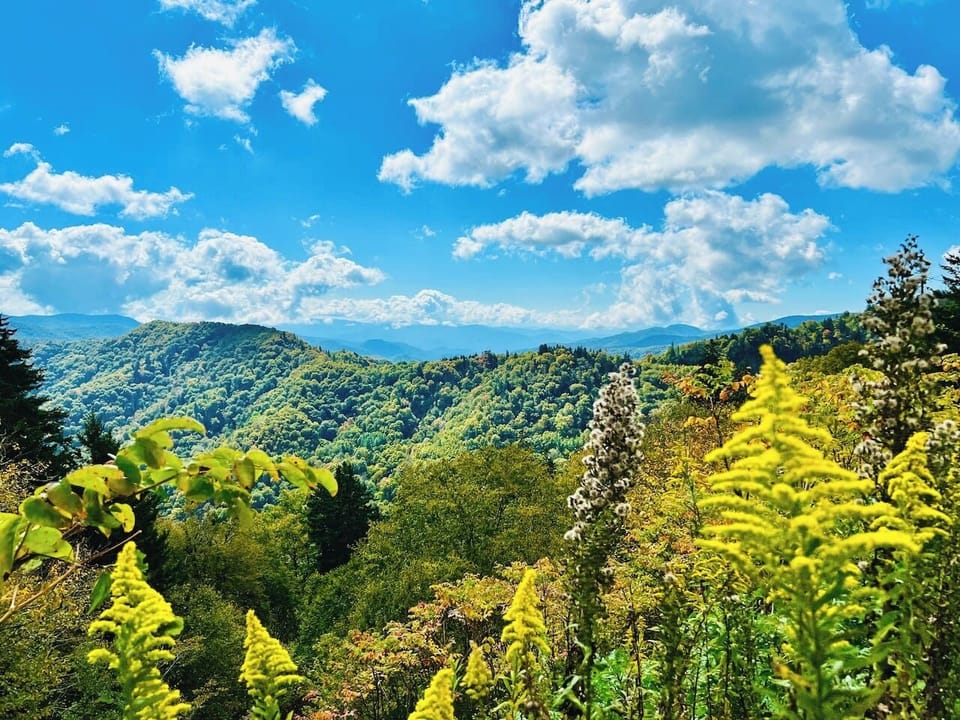 The colors shift throughout the year in the Smoky Mountains, making visiting at different times of the year a new experience each time.