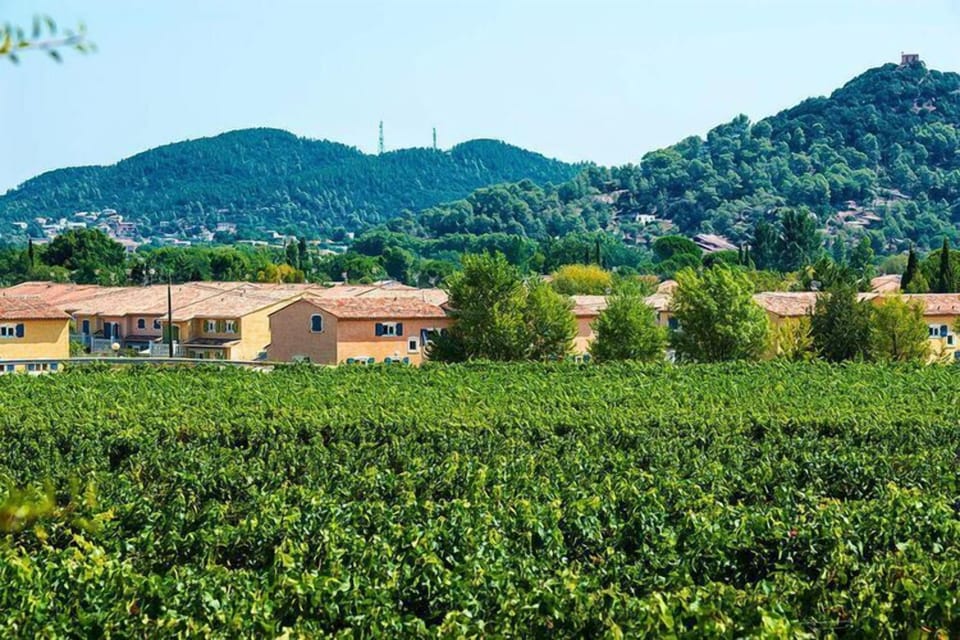 Immediate Surroundings [summer] (<1 km)
