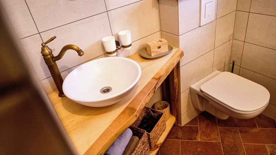Vineyard cottage Podrzaj House in Slovenia