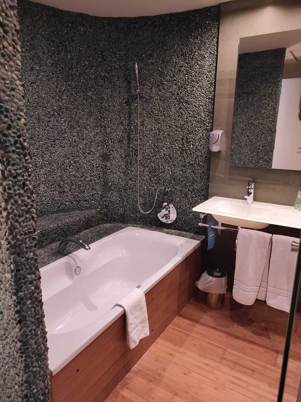 Hair dryer, slippers, bidet, towels