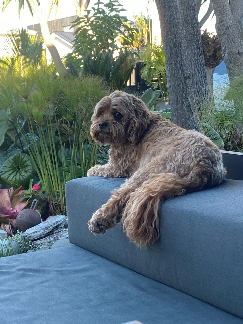 EMMETT, bodyguard A.