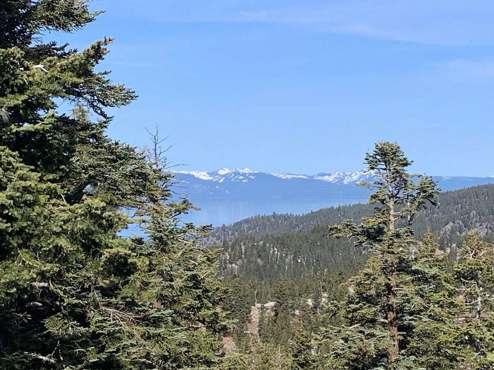 Views from the Balcony