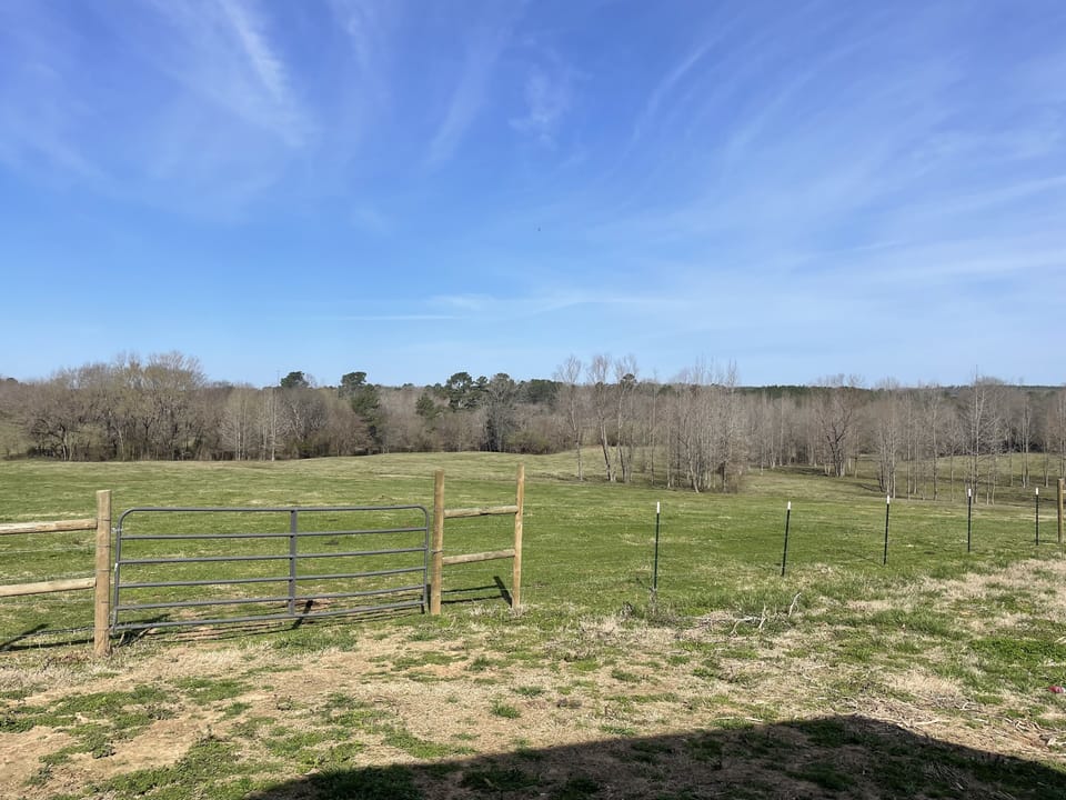 View from porch