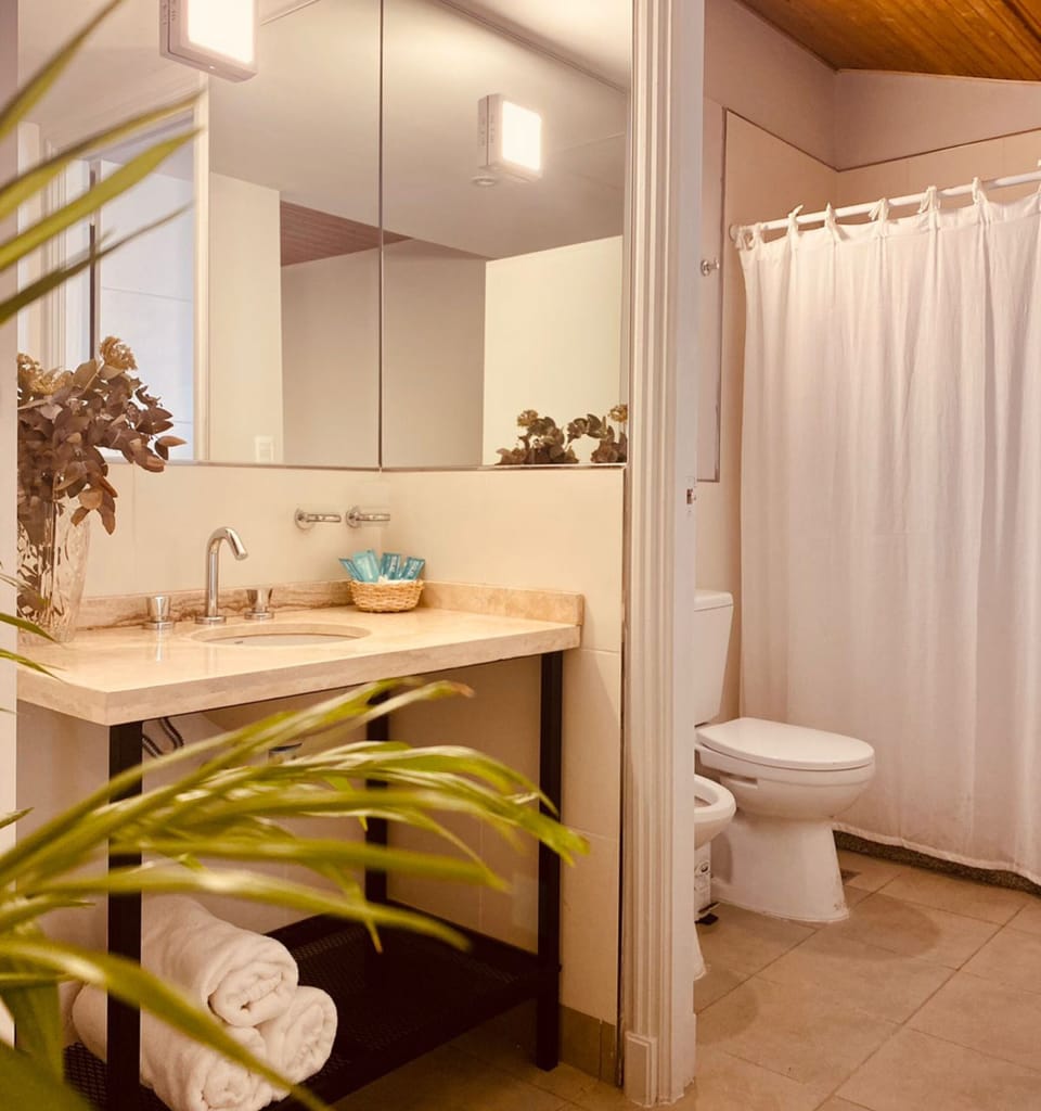 Family Room, Private Bathroom | Bathroom | Hair dryer, bidet, towels, soap