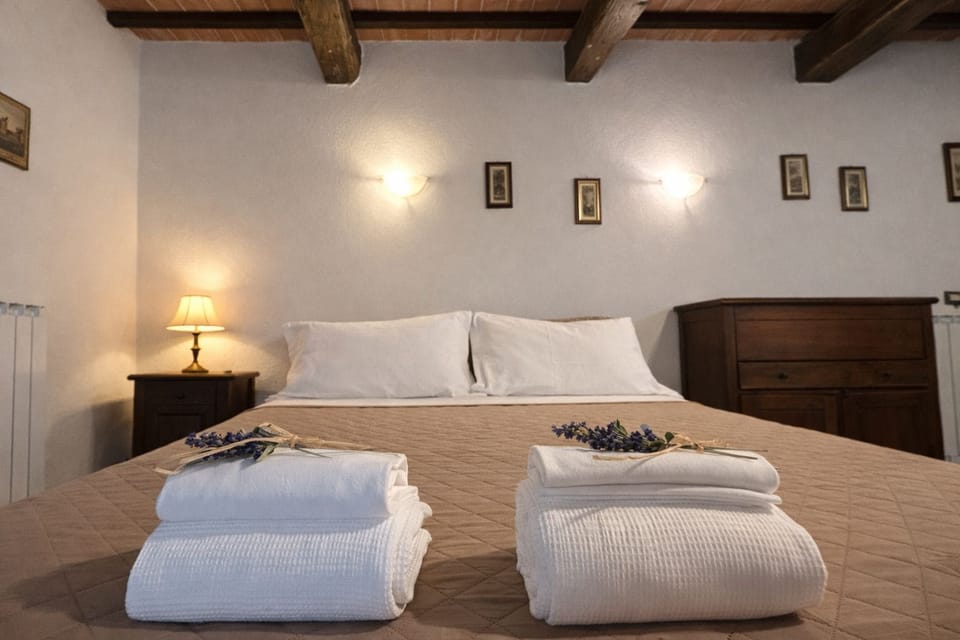 Comfort House | Living area