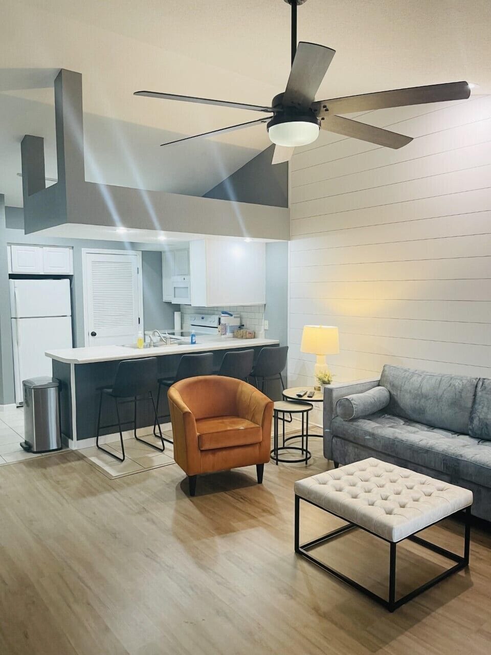 Kitchen / Livingroom