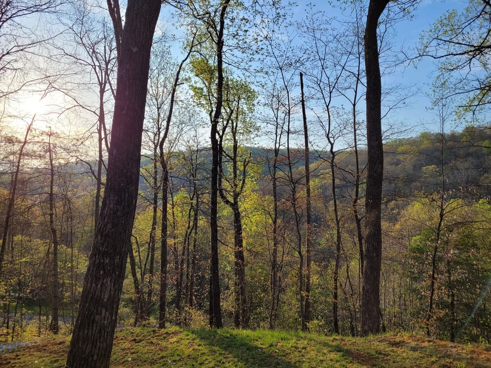 Views from the side and back of the cabin