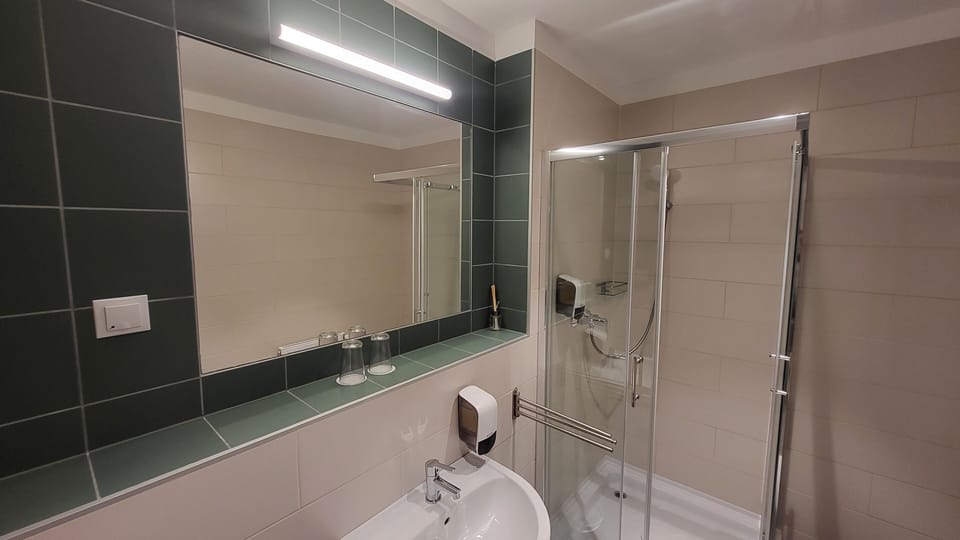 Superior Double Room | Bathroom | Shower, hair dryer, towels, soap
