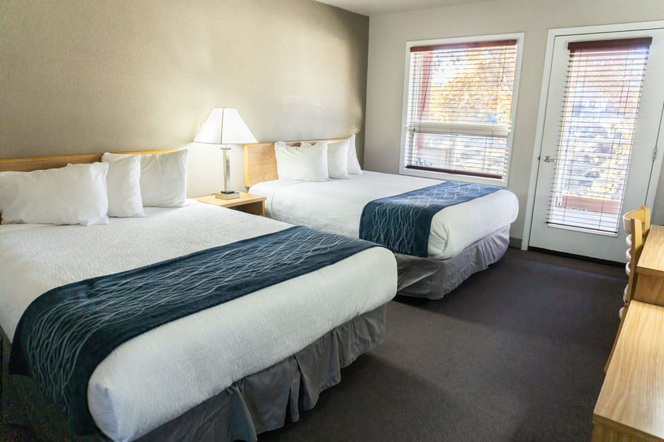 Desk, soundproofing, iron/ironing board, free WiFi