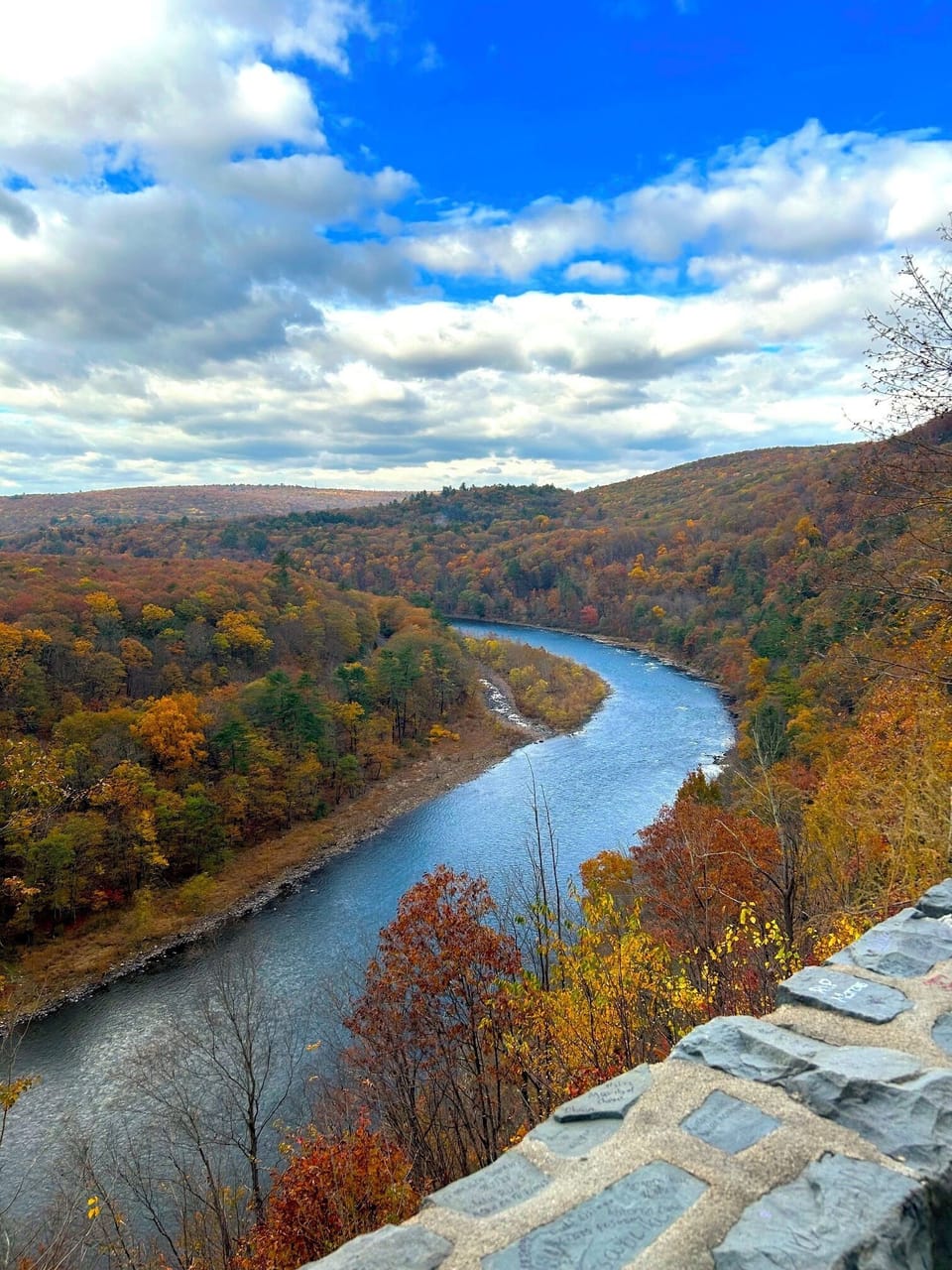 Plenty of fall foliage!