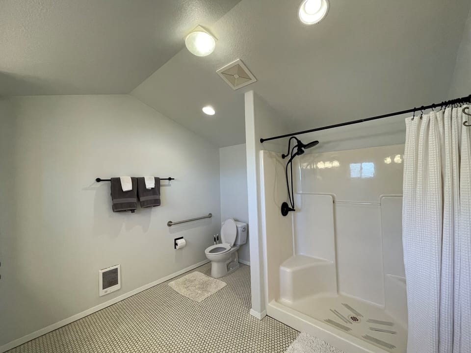 Master bathroom with walk-in shower and safety grab bar.