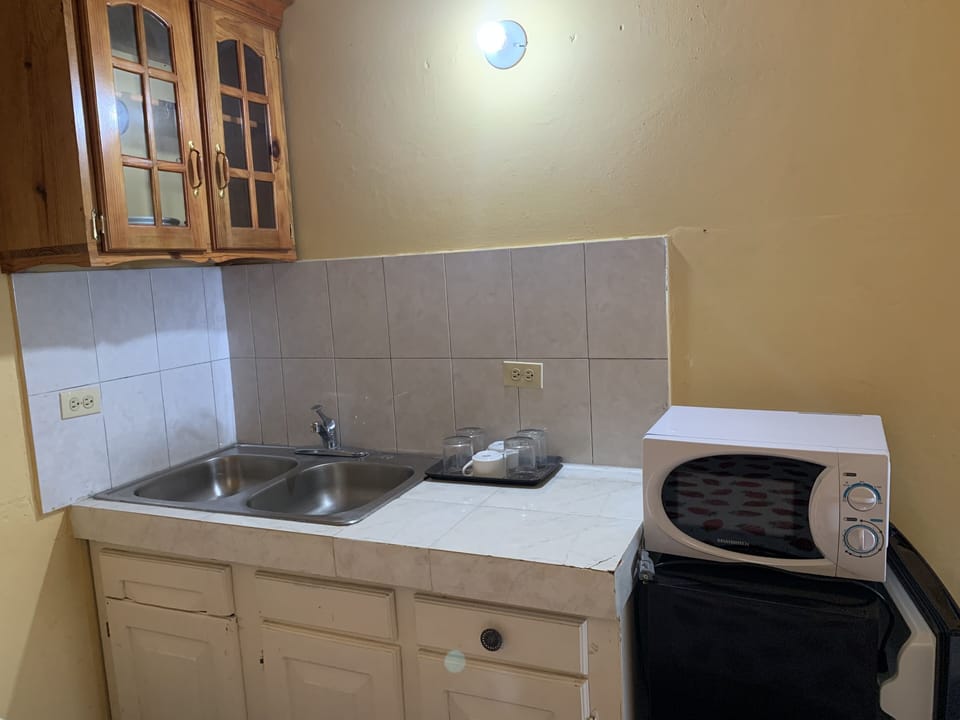 Studio | Private kitchen | Coffee/tea maker, fridge, microwave