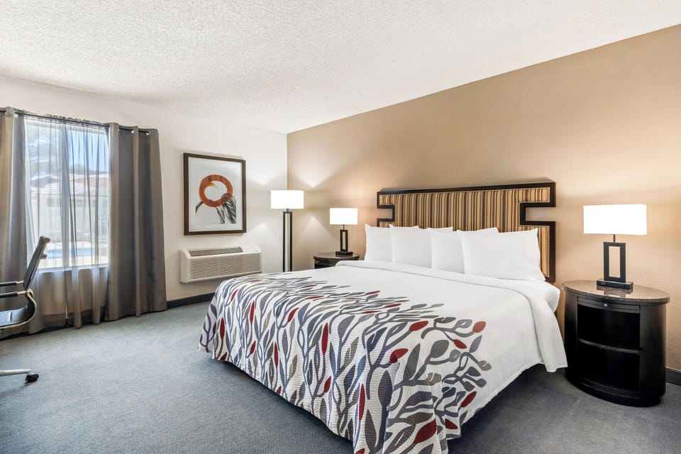 Superior Room, 1 King Bed, Accessible, Non Smoking | Desk, blackout drapes, iron/ironing board, WiFi (free)