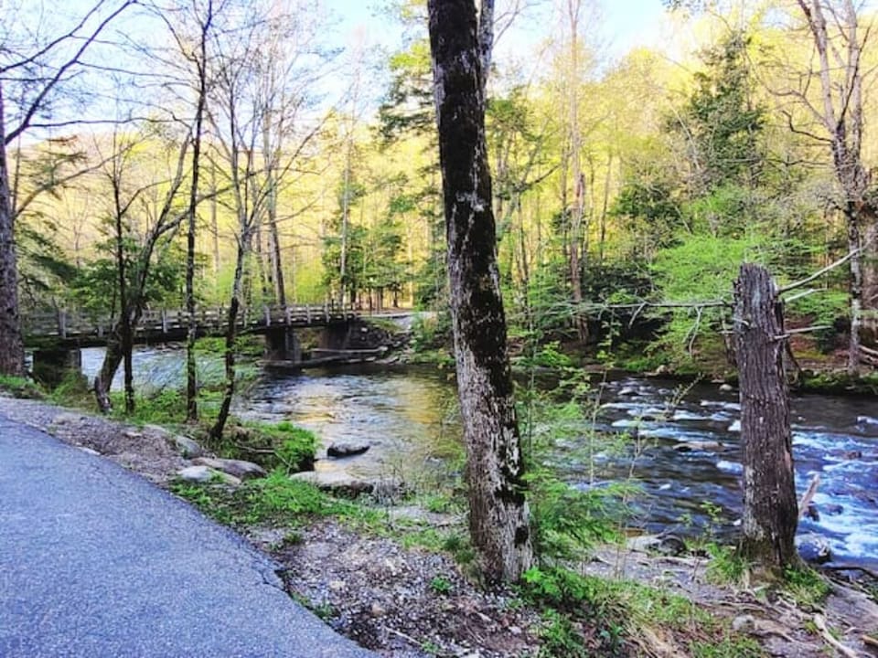 Metcaff Bottoms in Smokey Mountain National Park 7 minutes from Cabin