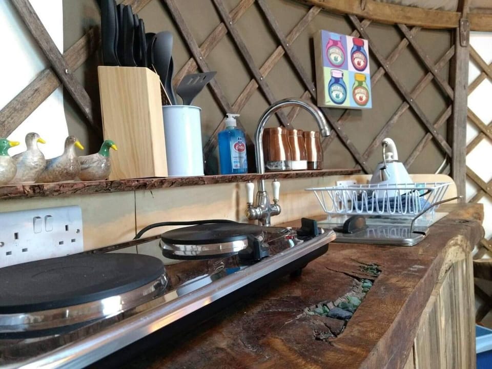 Cabin | Private kitchen | Fridge, stovetop, electric kettle, cookware/dishes/utensils