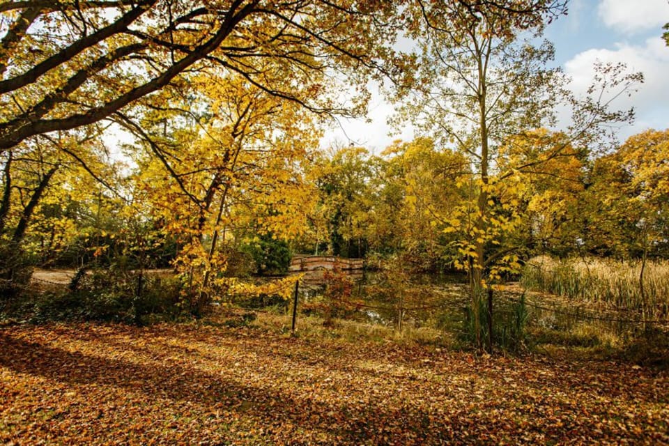 House | Property grounds
