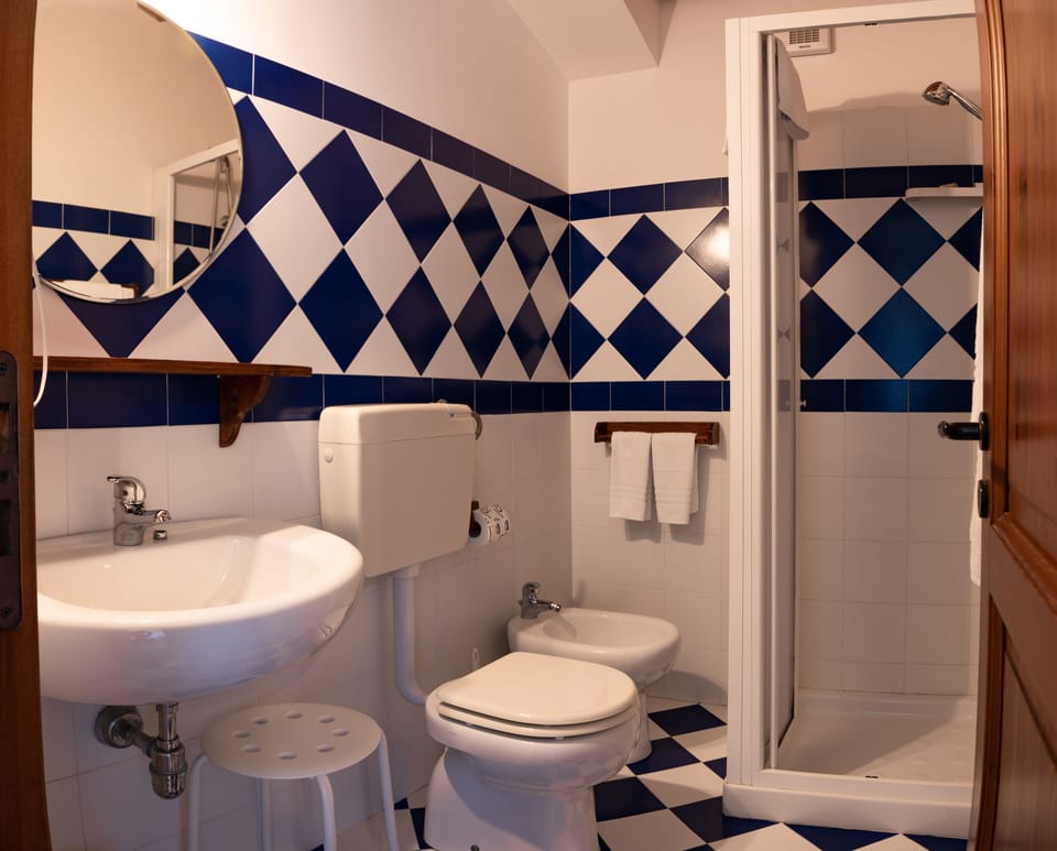 Free toiletries, hair dryer, bidet