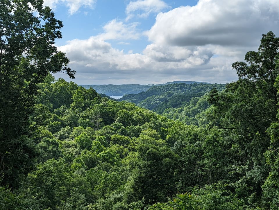 View from back porch