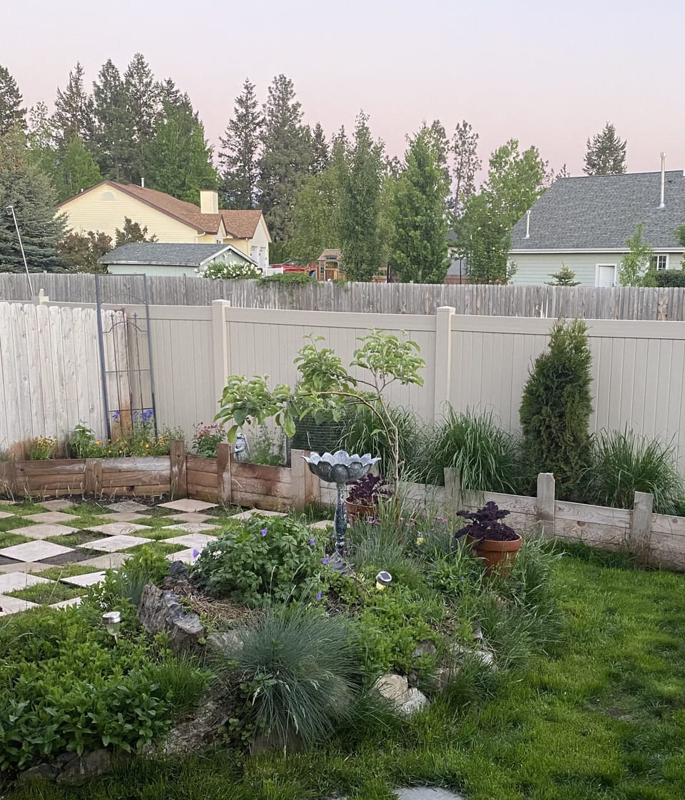 Backyard June/July Landscape