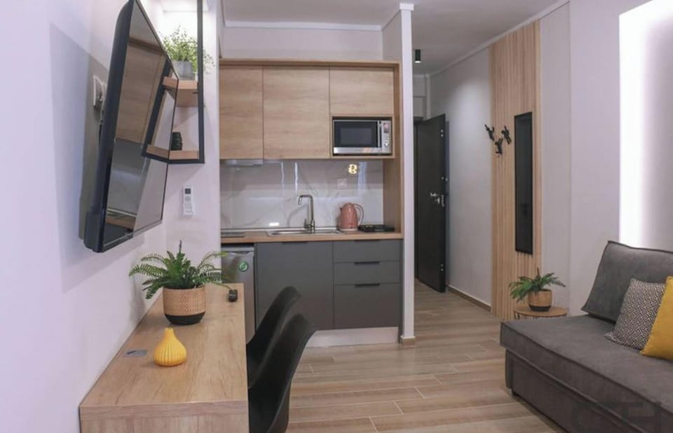 Studio, 1 Bedroom, Accessible, City View | Room amenity
