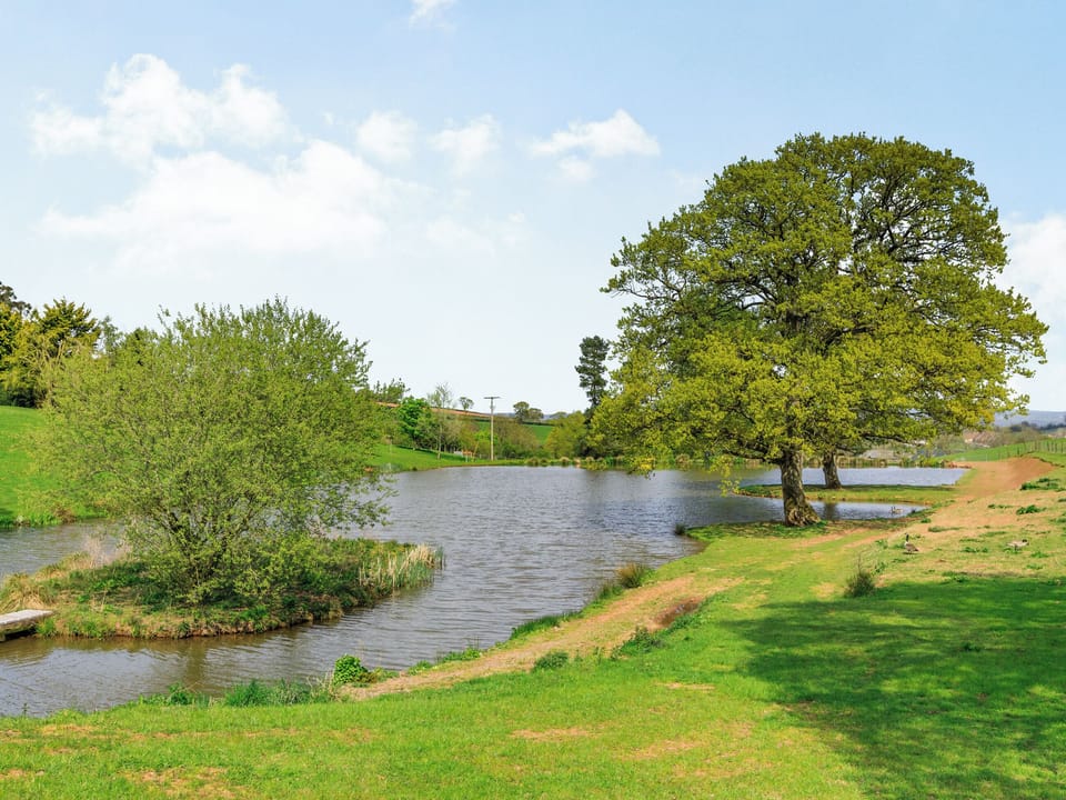 Garden and grounds | Goosedown Lodge - Ponsford Ponds, Knowle, near Cullompton
