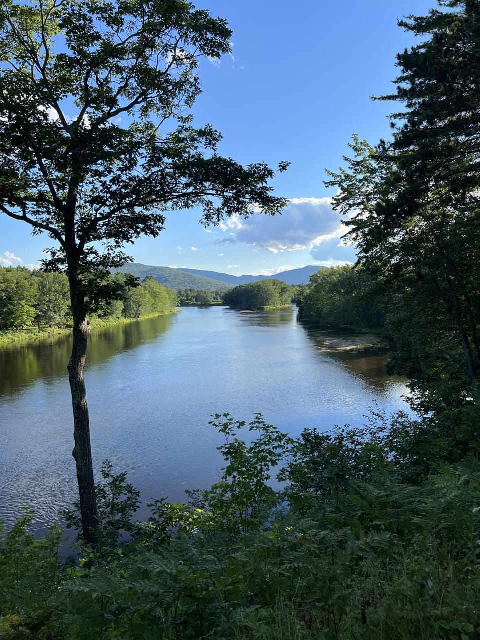 Summer view of the river.