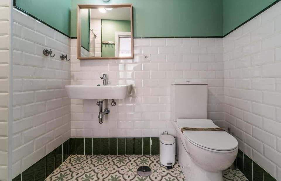 Shower, hair dryer, towels, toilet paper
