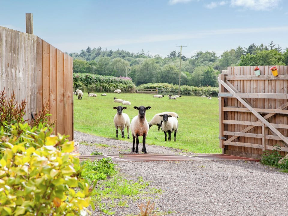 View | Hog End - Old Highwood, Dunkeswell