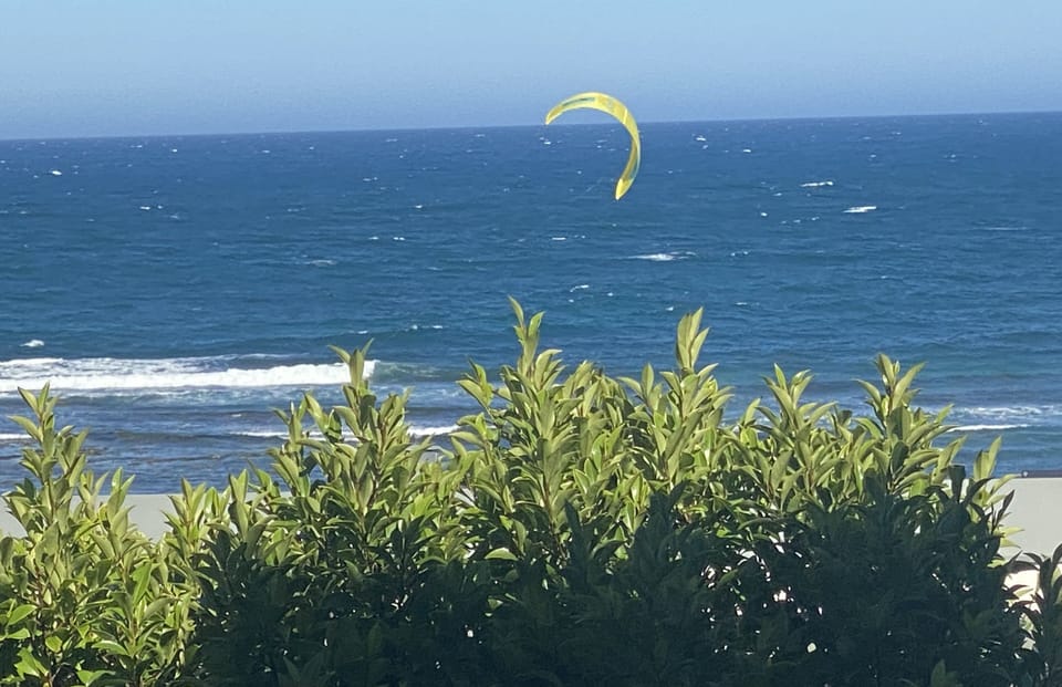 Actual view from the living room 