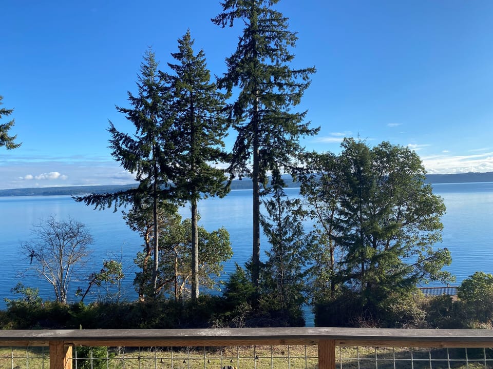 View from property