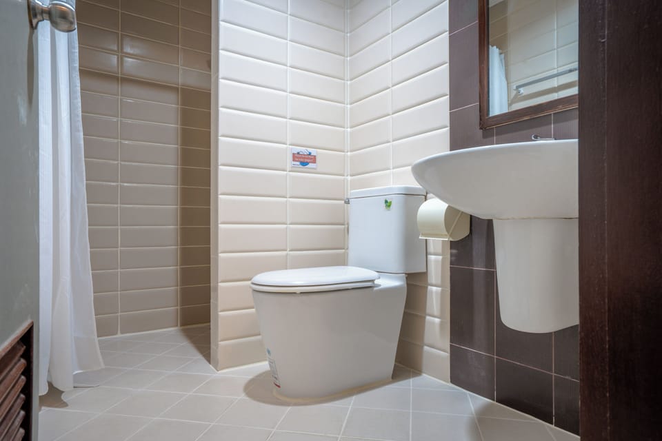 Shower, free toiletries, hair dryer (on request), slippers