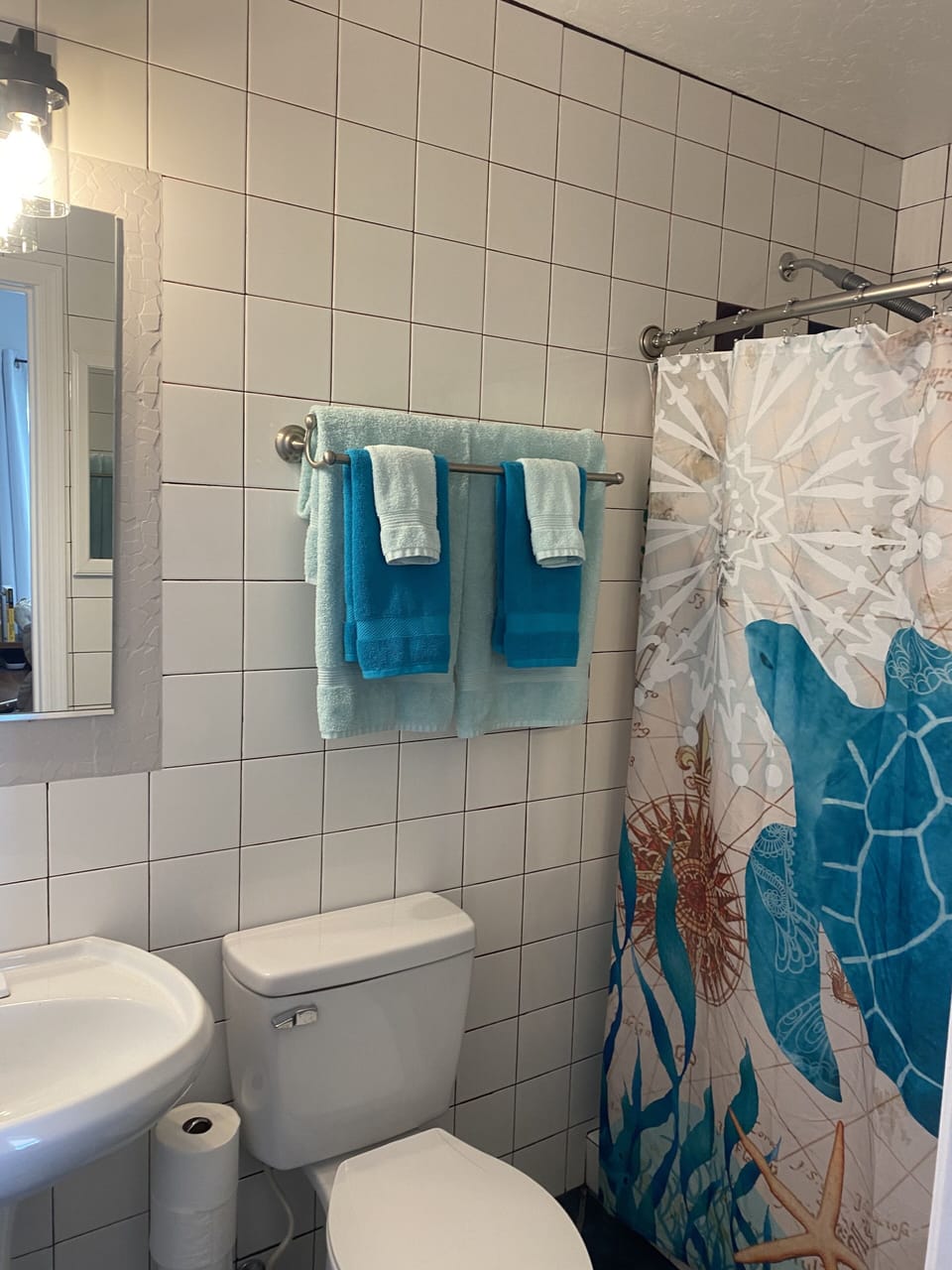 Guest bathroom