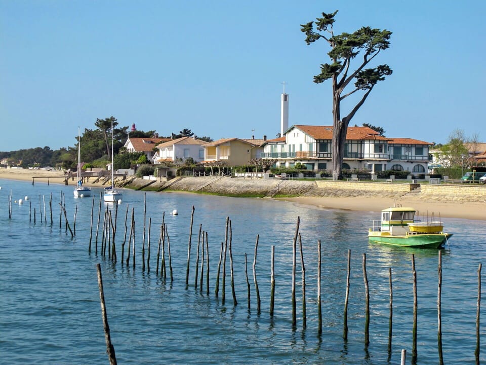 Water, Plant, Sky, Azure, Wood, Boat, Watercraft, Coastal And Oceanic Landforms, Beach, Woody Plant