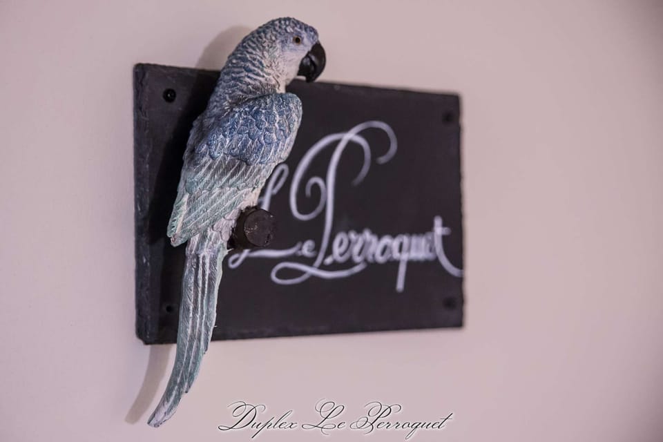 Duplex Le Perroquet - Entrance door, Decorative detail