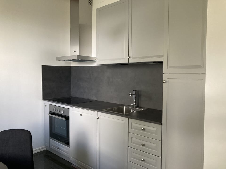 Classic Apartment, Multiple Beds, Kitchen | Private kitchen | Full-size fridge, oven, stovetop, dishwasher