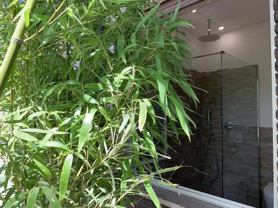 Exclusive Room, 1 Queen Bed, Balcony | Bathroom | Bidet, towels, toilet paper