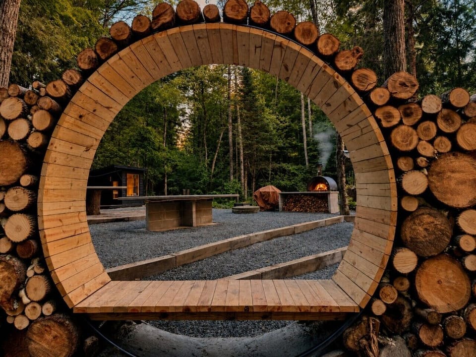 Through the wooden looking glass