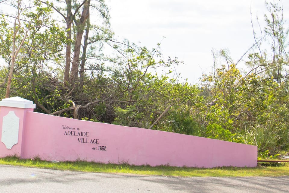 Pomelo south (24)